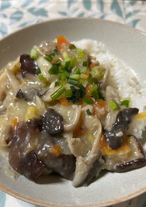 五目あんかけご飯-レシピのメイン写真