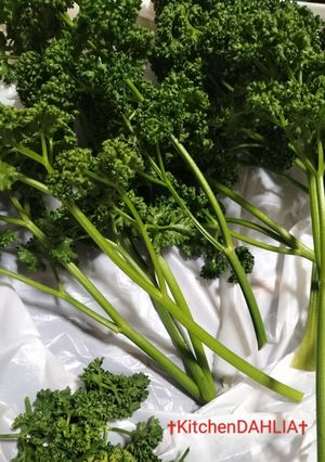 ♻️保存法｜パセリ🌿ロス削減術｜雑学メモ等-レシピのメイン写真