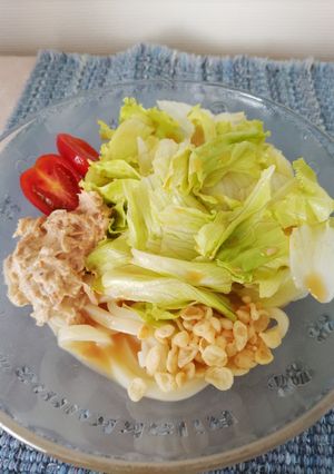 シンプル サラダうどん-レシピのメイン写真