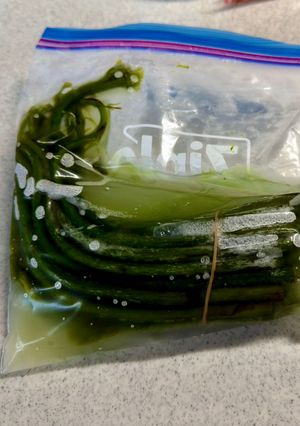 水入りわらびの保存・冷凍手順-レシピのメイン写真