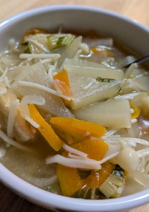 野菜たっぷりあっさり煮-レシピのメイン写真