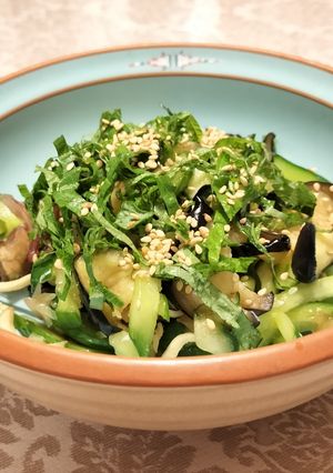 麺つゆで簡単！薬味たっぷり夏野菜の浅漬け-レシピのメイン写真