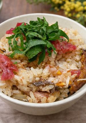 さばと梅の炊き込みご飯-レシピのメイン写真