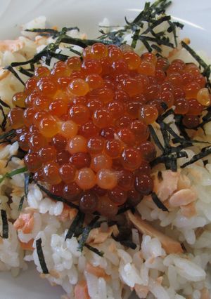鮭の番屋めし-レシピのメイン写真