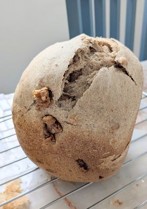 HBストレート法自家製酵母全粒粉パン-レシピのメイン写真