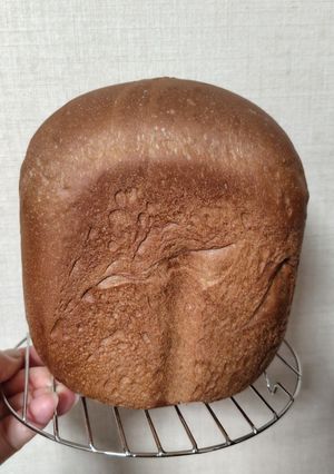 バターなしHBココアパン-レシピのメイン写真