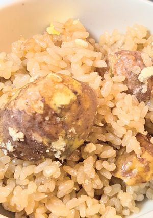炊き込みごはん／しょう油系の調味料　-レシピのメイン写真