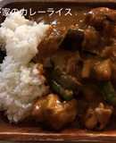茄子とほうれん草のチキンカレー