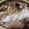土鍋で鯛めし③(笑)