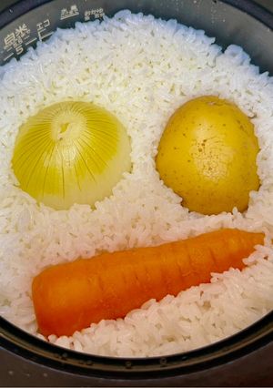 米と酒の蒸気で蒸す極上丸ごとカレー専用飯-レシピのメイン写真