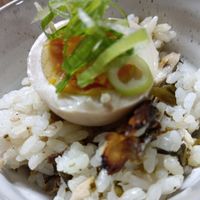 基本からアレンジまで！思わずつくりたくなる「高菜 混ぜご飯」の