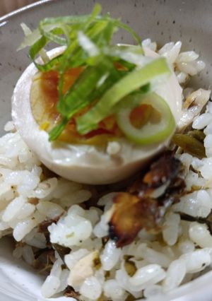 鯖の塩焼きと高菜の混ぜご飯(味玉のせ)-レシピのメイン写真