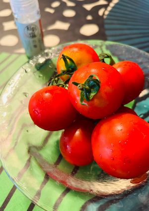 がぶりっ！トマト🍅-レシピのメイン写真