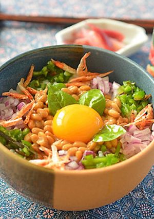 ローストガーリックオイルでにぎやか納豆丼-レシピのメイン写真
