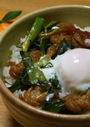 鶏皮だけで焼き鳥丼-レシピのメイン写真