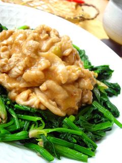 豚肉のピリ辛炒め-レシピのメイン写真