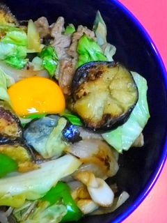 野菜爆盛りスタ丼 (動画あり)-レシピのメイン写真