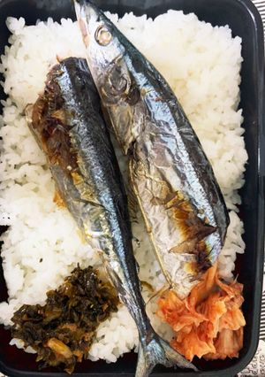 糖尿旦那秋刀魚弁当-レシピのメイン写真