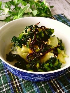 かぶ丸ごと塩昆布浅漬け-レシピのメイン写真