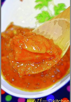 群馬発！カレー伝導師のアカギマサラカレー-レシピのメイン写真