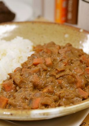 コオロギカレー-レシピのメイン写真