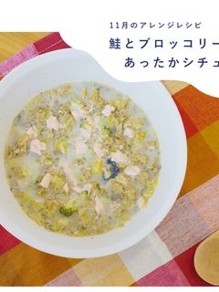 犬ご飯/鮭とブロッコリーの豆乳シチュー-レシピのメイン写真