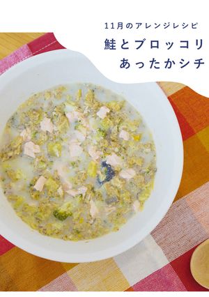犬ご飯/鮭とブロッコリーの豆乳シチュー-レシピのメイン写真