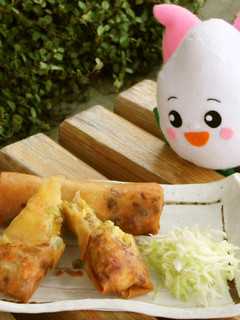 ぱんパン春巻き~カレー味~-レシピのメイン写真