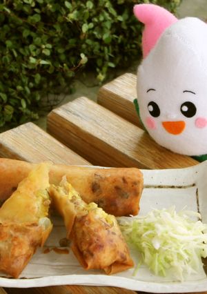 ぱんパン春巻き～カレー味～-レシピのメイン写真