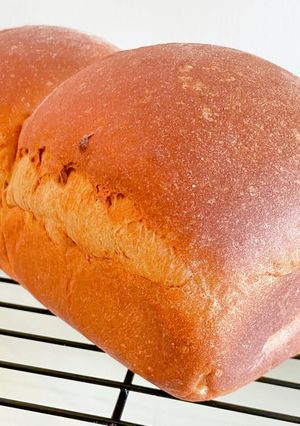 オイル・卵不使用の甘めで柔らかふすまパン-レシピのメイン写真