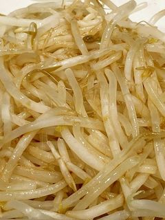 もやしの作り置き-レシピのメイン写真