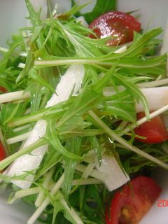 シャキシャキ☆水菜と長いもの和風サラダ-レシピのメイン写真
