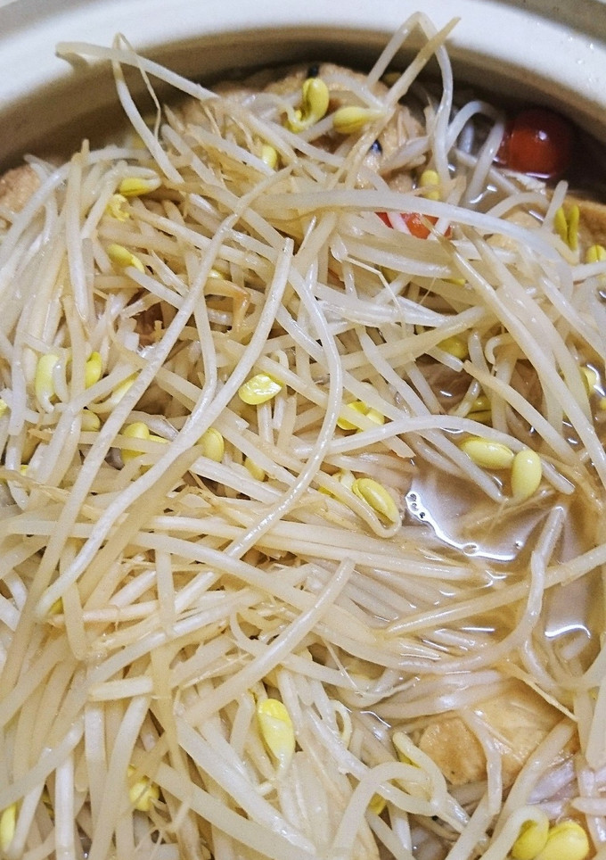 激安！もやしと厚揚げの鍋-レシピのメイン写真