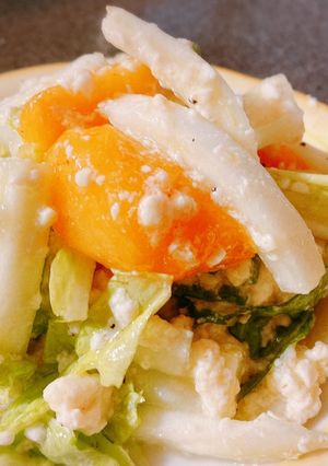 かきと白菜のお豆腐サラダ　たんぱく質も-レシピのメイン写真