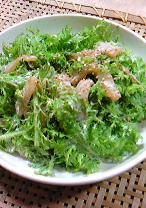 シャッキシャキわさび菜といかのサラダ♪-レシピのメイン写真