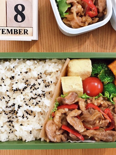 豚こまオイスター炒め弁当 21/11.8-レシピのメイン写真