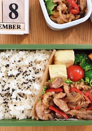 豚こまオイスター炒め弁当 21/11.8-レシピのメイン写真