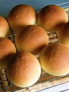 丸パン-レシピのメイン写真