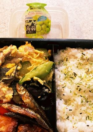 キクラゲ豚肉胡瓜卵炒め高校生男子弁当-レシピのメイン写真