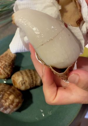 つるんと簡単里芋の皮むき方法-レシピのメイン写真