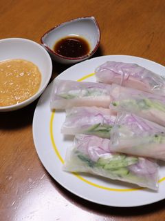 棒棒鶏風生春巻-レシピのメイン写真