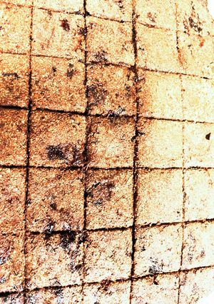 快調 栄養満点 ぬかクッキー サブレ?-レシピのメイン写真