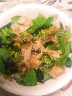 サラダほうれん草と鰹節と海苔の醤油サラダ-レシピのメイン写真