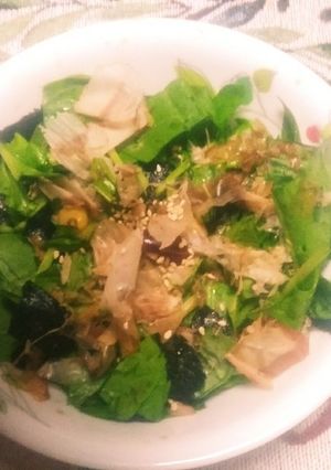 サラダほうれん草と鰹節と海苔の醤油サラダ-レシピのメイン写真