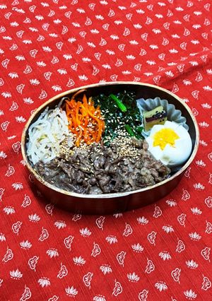 11/10 ピビンバ弁当-レシピのメイン写真