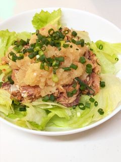 簡単◆味付けサバ缶のおろしサラダ-レシピのメイン写真