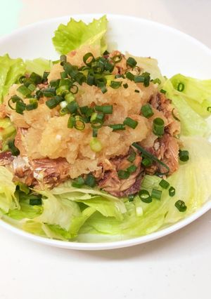 簡単◆味付けサバ缶のおろしサラダ-レシピのメイン写真