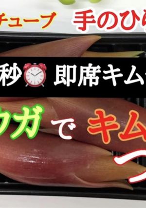 キムチューブで即食みょうがキムチを作る♪-レシピのメイン写真