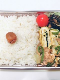 豚肉のオイスター炒め弁当-レシピのメイン写真