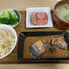 鯖の味噌煮-レシピのメイン写真